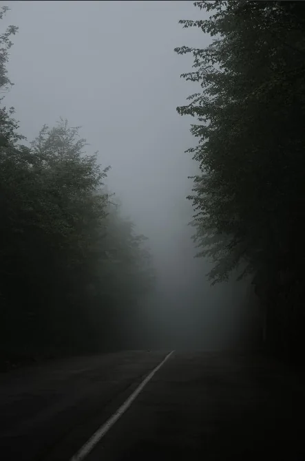 Foggy forest road without dehaze