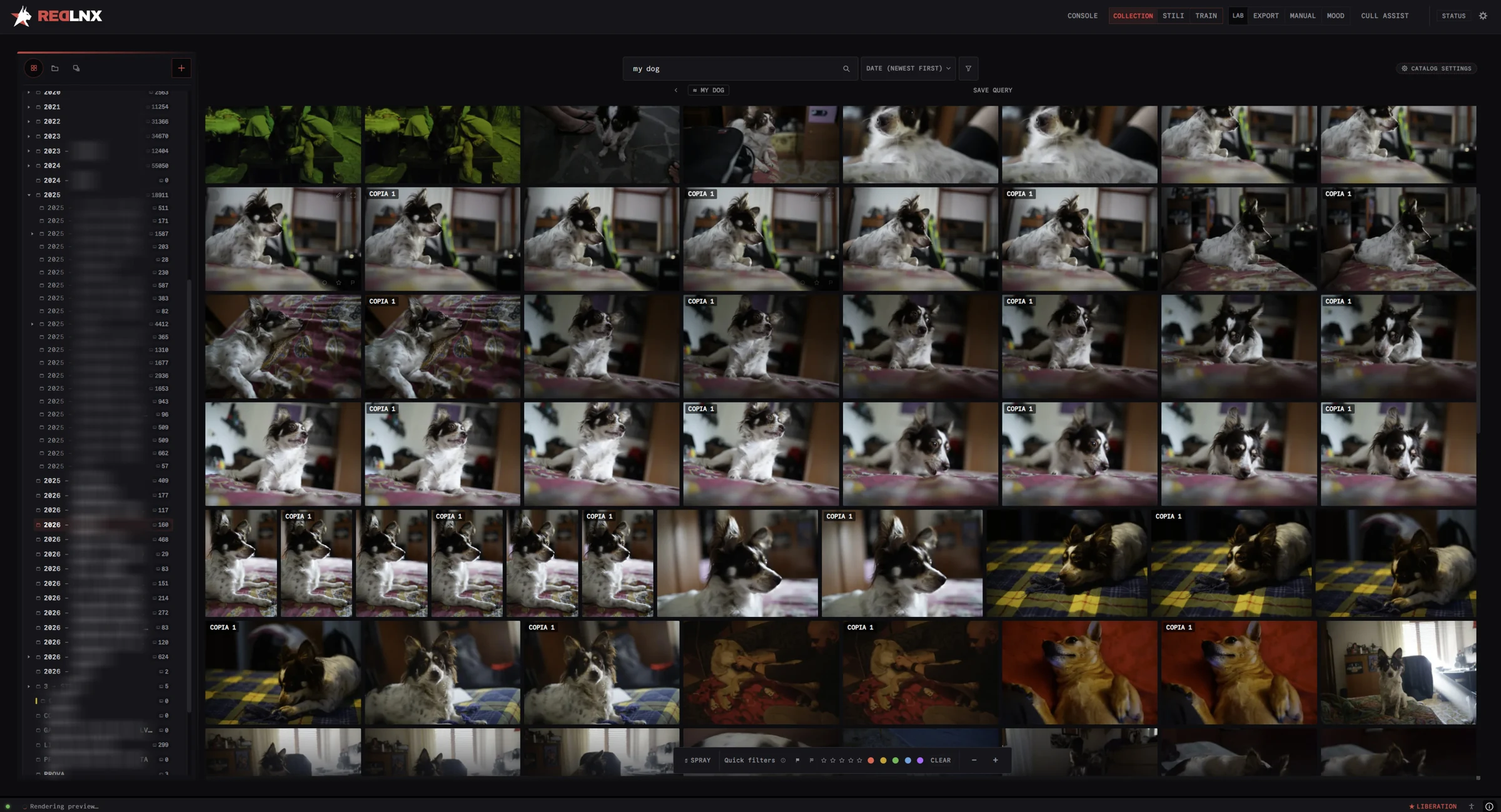 RedLnx Collection search showing matching photographs in the library